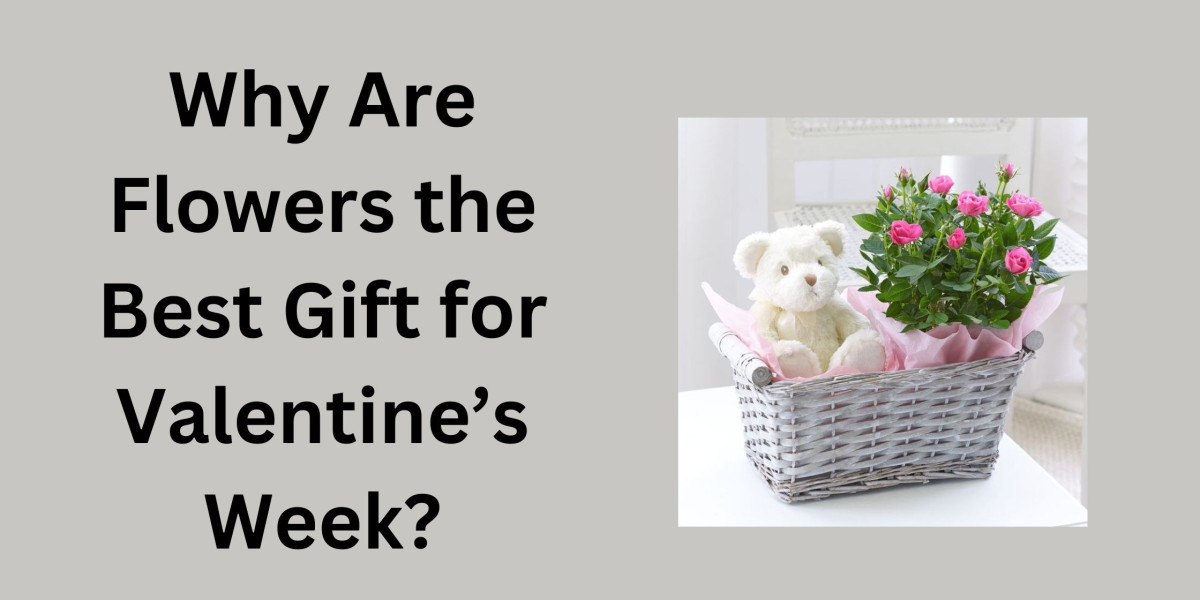 Why Are Flowers the Best Gift for Valentine’s Week?